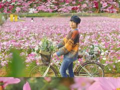 -天适樱花悠乐园