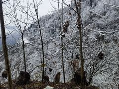 -太阳湾风景区