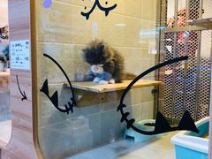 -1013 PET SHOP 宠物商店(近铁城市广场店)