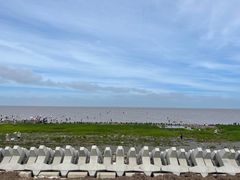 -南汇嘴观海公园