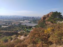 -红山国家森林公园