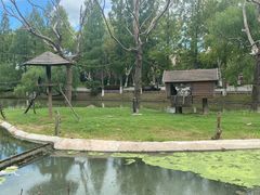 -上海野生动物园