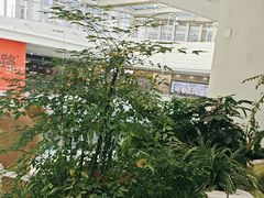 -大树餐厅(红旗街万达店)