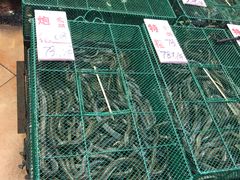 -荔城生鲜盛宴(番禺旗舰店)