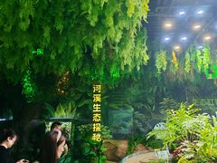 -海合安成都极地海洋公园