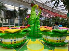 -南宫五洲植物乐园