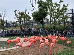 -武汉动物园