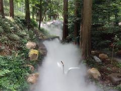 -东明山森林公园