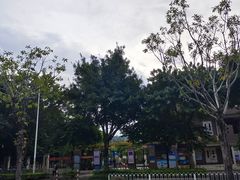 -奥园广场(广州番禺福德路店)