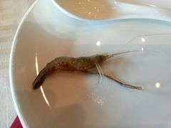 android_upload_pic-扬州狮子楼·非遗淮扬菜(总店)