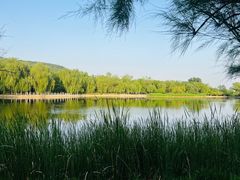 -国家植物园南园