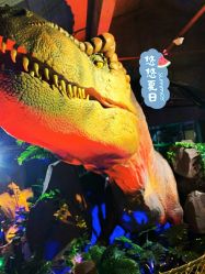 点击看大图 -恐龙探索乐园(磁器口店)