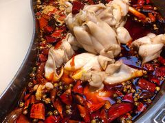 美蛙-销魂美蛙鱼头火锅(上海首店)