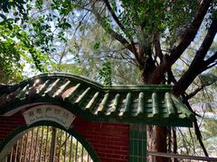 -广东惠东海龟国家级自然保护区