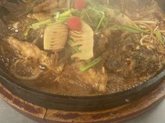 -老板恋上鱼(恒隆广场店)