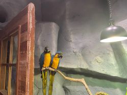 -Zoolung Zoolung动物主题公园(海信广场店)