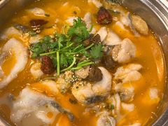 -龙梅肥肠鱼(明瓦廊店)