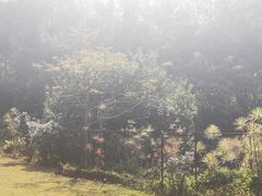 -南沙蒲洲花园