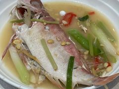 红杉鱼-抱德·潮汕味(敦和店原惠城鱼仔)