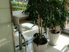 -中国电信(四川北路营业厅)