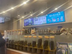 -雾与山茶(大禹城店)