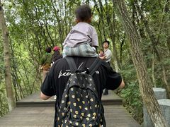 -天目湖山水园