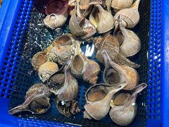 -驻海渔市(置信店)