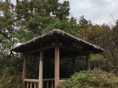 -宝界山林公园