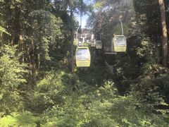 -黔灵山公园