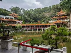 -深圳仙湖植物园