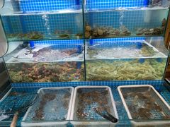 水产区-老东镇啤酒屋海鲜加工·蒸汽海鲜·海鲜烧烤(台东店)