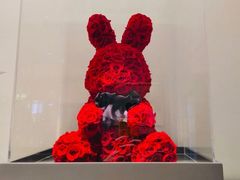 -ROSEONLY诺誓(国际广场购物中心店)