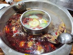 -金鼎雪山牦牛杂火锅(理县总店)