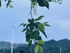 -北岳恒山