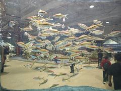 -东南花都花博园