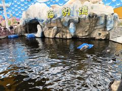 -华夏文旅海洋公园