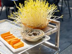 -巴倒烫陆派火锅山庄(南山总店)