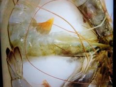 -小龙坎老火锅(鹤伴一路店)