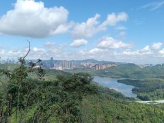 -深圳仙湖植物园