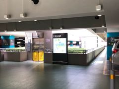 -上海虹桥国际机场1号航站楼-P2停车场