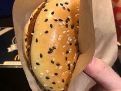 -麦当劳(未来城购物中心店)