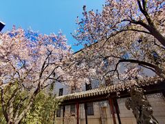 -君庭中餐厅(友谊宾馆店)