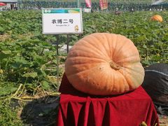 -长春农业博览园