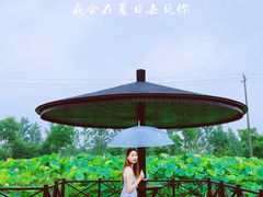 -梁鸿国家湿地公园