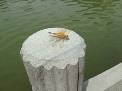 iphone_upload_pic-中国计量大学(西校区)