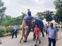 -无锡动物园·太湖欢乐园
