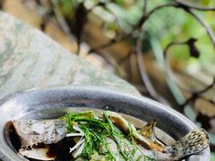 -苏记农家菜馆