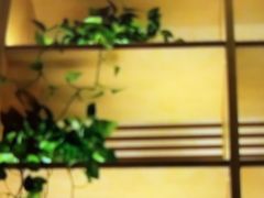 -尚荟汤泉生活馆