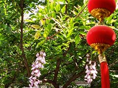 -北京艺术博物馆(万寿寺)
