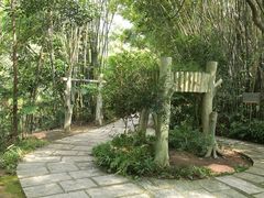 -大屏嶂森林公园